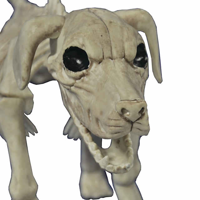 11 Beagle Bonez Dog Skeleton Halloween Decoration