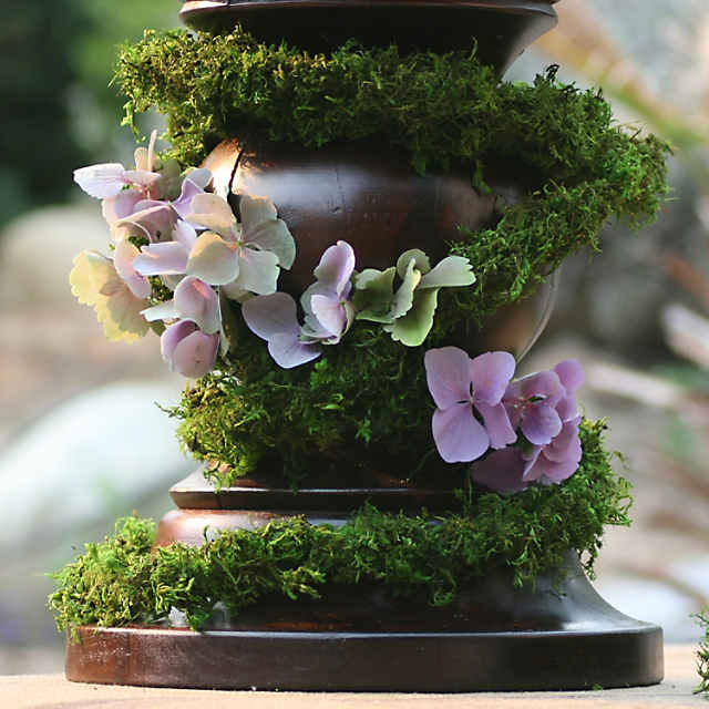 Use of Decorative Moss With Plants