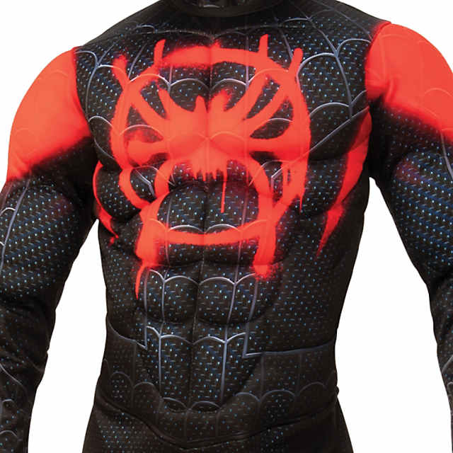 Spider-Man Into The Spider-Verse Men's Compression Shirt (Small, Red) :  : Clothing, Shoes & Accessories