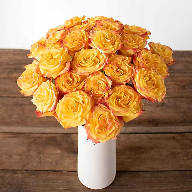 Bulk Flowers Fresh Orange Roses - Yahoo Shopping