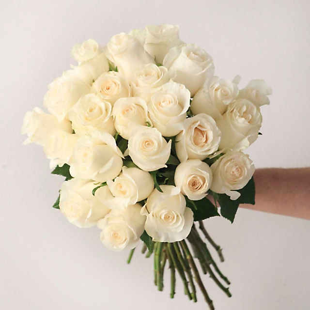 Bulk Flowers Fresh White Roses