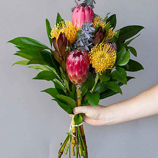 Pin Cushion & Pink Protea DIY Bouquet Kit