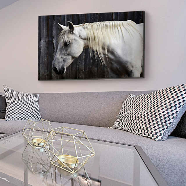 Cavepop Beautiful Barnyard Horse Canvas Wall Art 32x48