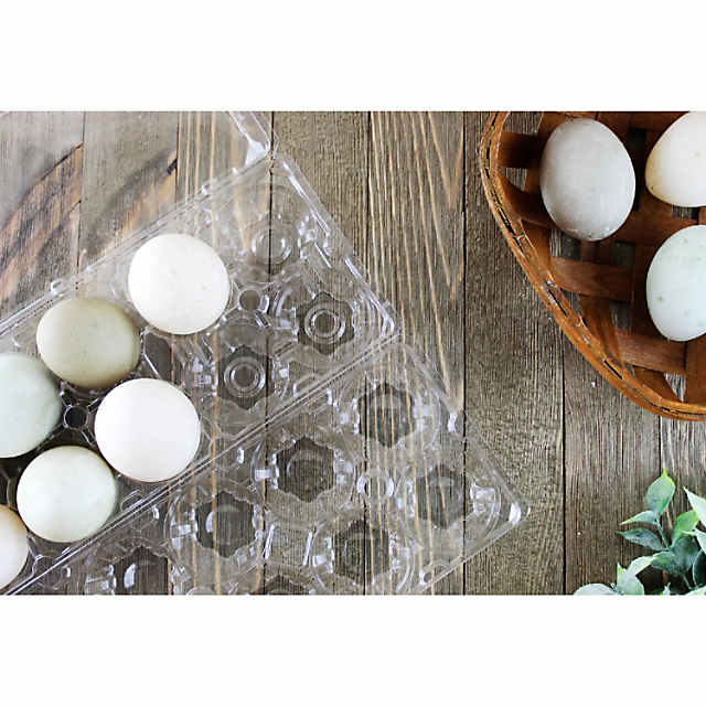 Cornucopia Duck Egg Cartons (8-Pack); Plastic Jumbo Egg Containers for Duck and Turkey Egg Storage