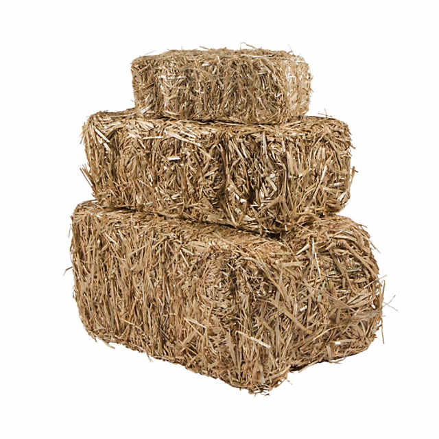 Small Hay Bale  Oriental Trading