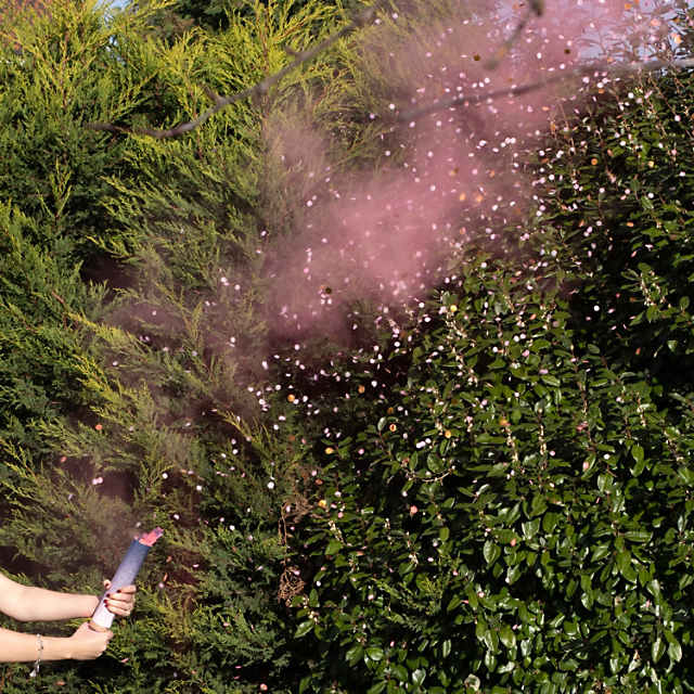 Ginger Ray Gender Reveal Pink Smoke Confetti Cannon