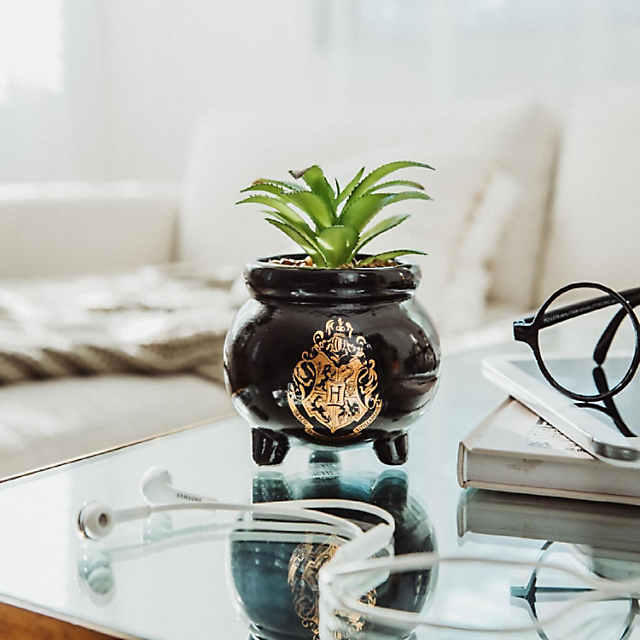 https://s7.orientaltrading.com/is/image/OrientalTrading/PDP_VIEWER_IMAGE_MOBILE$&$NOWA/harry-potter-hogwarts-cauldron-ceramic-mini-planter-with-artificial-succulent~14355025-a01$NOWA$