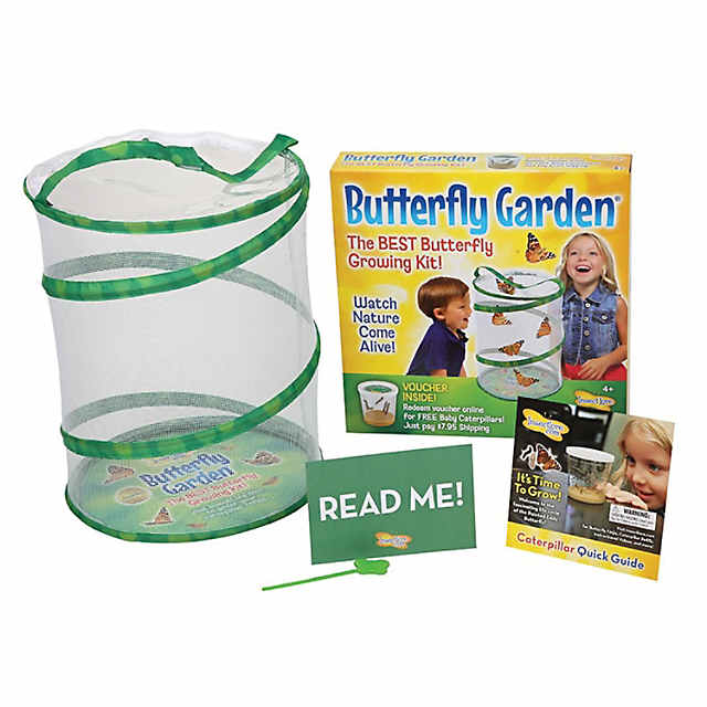 Insect Lore Butterfly Garden with Coupon for Live Caterpillars