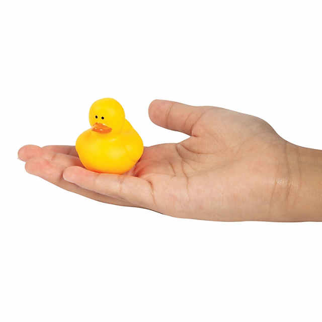 https://s7.orientaltrading.com/is/image/OrientalTrading/PDP_VIEWER_IMAGE_MOBILE$&$NOWA/mini-neon-rubber-ducks-24-pc-~13655653-a01