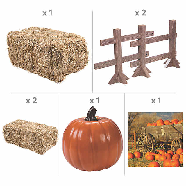 https://s7.orientaltrading.com/is/image/OrientalTrading/PDP_VIEWER_IMAGE_MOBILE$&$NOWA/pumpkin-patch-decorating-kit-5-pc-~13971961-a01