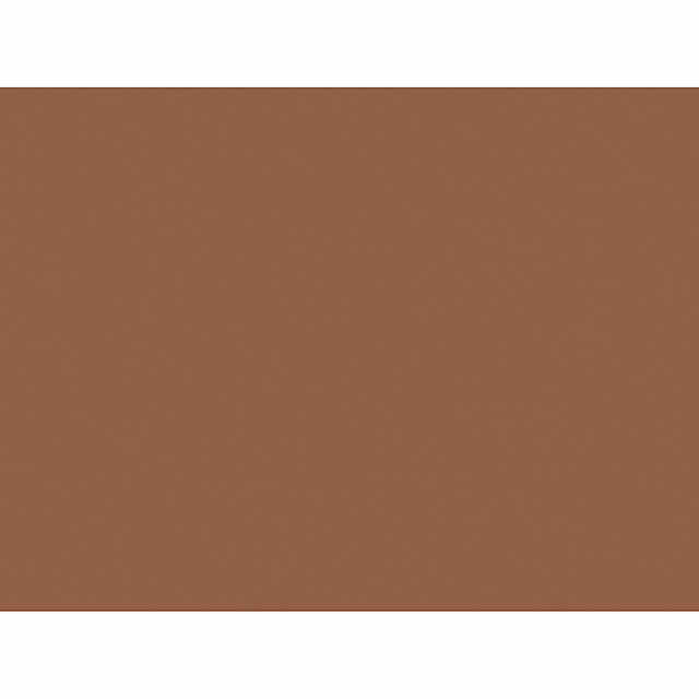 Construction Paper, Warm Brown, 18 x 24, 50 Sheets Per Pack, 2 Packs