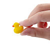 1/2" Yellow Classic Micro Rubber Ducks - 24 Pc. Image 2