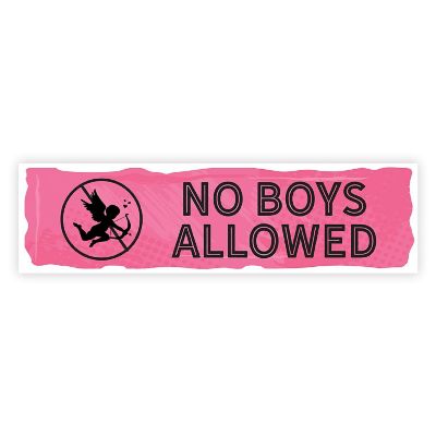 1 PC Galentine No Boys Allowed Banner Image 3