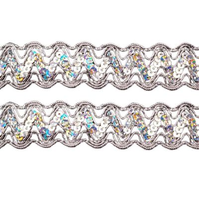 1" x 10 Yard Sequin Trim Pack of 5 Image 1