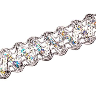 1" x 10 Yard Sequin Trim Pack of 5 Image 1