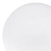 10.25" Solid White Organic Round Disposable Plastic Dinner Plates (40 Plates) Image 1