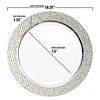 10.25" White with Silver Hammered Rim Round Plastic Dinner Plates (40 Plates) Image 2