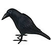 10.5" Animated Black Crow Decoration Image 1