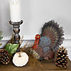 10.5" Fall Harvest Turkey Tabletop Decoration Image 1