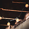 10-Count Clear G50 Globe Patio Light Set - 9ft Black Wire Image 1