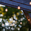 10-Count Clear G50 Globe Patio Light Set - 9ft Black Wire Image 2