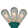 10-Count Clear Transparent Edison Patio Light Set  9ft Green Wire Image 1