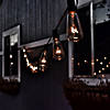 10-Count Clear Transparent Edison Patio Light Set  9ft Green Wire Image 1