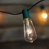 10-Count Clear Transparent Edison Patio Light Set  9ft Green Wire Image 2