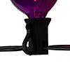 10-Count Orange and Purple G40 Globe Halloween Lights  9ft Black Wire Image 3