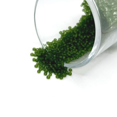 10 grams Green 12/0 Glass Seed Beads Image 1