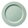 10" Matte Turquoise Round Disposable Plastic Dinner Plates (120 Plates) Image 1