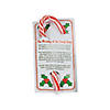 10 oz. Classic Peppermint Candy Canes with Religious Cards - 24 Pc. Image 1