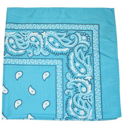 10 Pack Mechaly Dog Bandana Neck Scarf Paisley Polyester Bandanas - Any Pets (Turquoise) Image 1