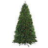 10' Pre-Lit Full Northern Pine Artificial Christmas Tree  Multi Lights Image 1