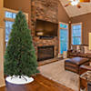 10' Pre-Lit Full Northern Pine Artificial Christmas Tree  Multi Lights Image 2
