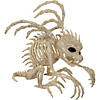 10" Skeleton Gargoyle Decoration Image 1