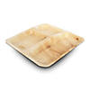 10" Square Palm Leaf 3-Partition Eco Friendly Disposable Dinner Plates (100 Plates) Image 1