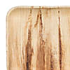 10" Square Palm Leaf Eco Friendly Disposable Dinner Plates (100 Plates) Image 1