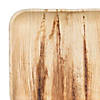 10" Square Palm Leaf Eco Friendly Disposable Dinner Plates (25 Plates) Image 1