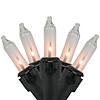 100-Count Clear Mini Christmas String Light Set - 20.25ft Black Wire Image 1