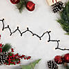 100-Count Clear Mini Christmas String Light Set - 20.25ft Black Wire Image 1