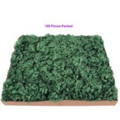 100-Pack: Emerald Carnation Picks Image 3