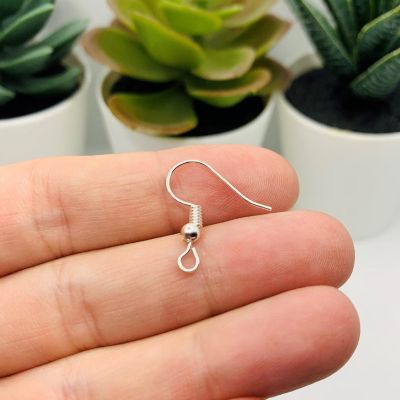 100 Pcs Silver Fish Hook Earring Wires Image 2