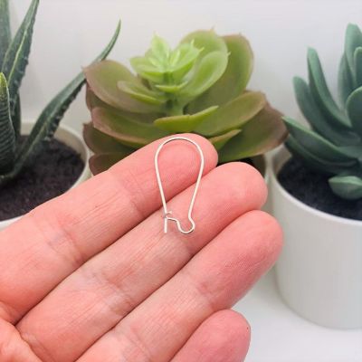100 Pieces Silver Plated Earring Wires Image 1
