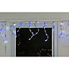 100ct Blue and Pure White LED Wide Angle Icicle Christmas Lights  5.5 ft White Wire Image 2