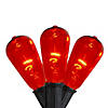 10ct Orange Edison E17 Halloween Light Set - 9ft Black Wire Image 1