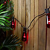 10ct Purple Edison E17 Halloween Light Set - 9ft Black Wire Image 1