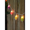 10ct Sugared Ice Pop Outdoor Patio String Light Set  7.25ft White Wire Image 1