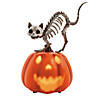 11 1/2&quot; Animated Pumpkin with Skeleton Cat Tabletop Halloween Decoration Image 1