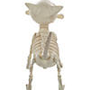 11" Digger The Skeleton Dog Decoration Image 1